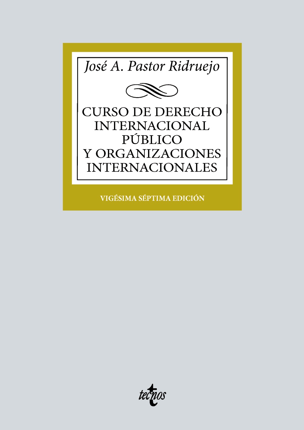 Curso de Derecho Internacional Público y Organizaciones Internacionales. 9788430987863